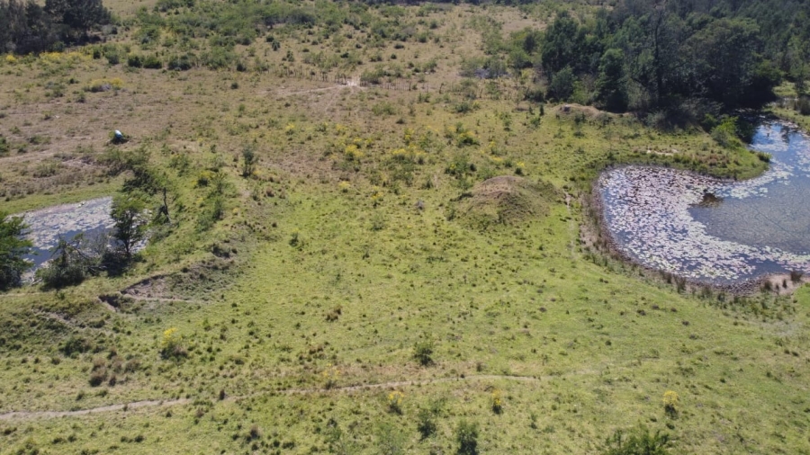 4 Bedroom Property for Sale in King Williams Town Eastern Cape